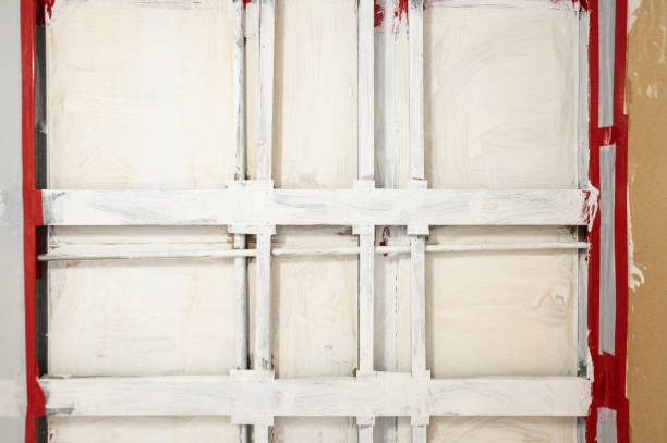 Biohazard Mold Removal in Pelzer, SC