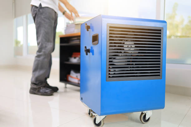 Best Mold-Related Health Consultation  in Pelzer, SC
