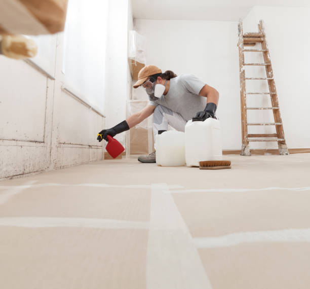 Best Mold Odor Removal Services  in Pelzer, SC